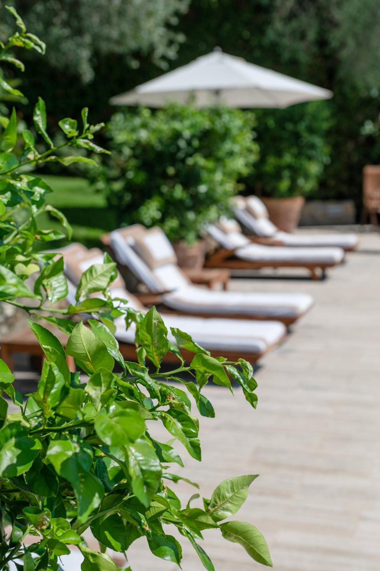 Villa Eden Forte Dei Marmi With Private Infinity Pool Santa Lucia  Esterno foto