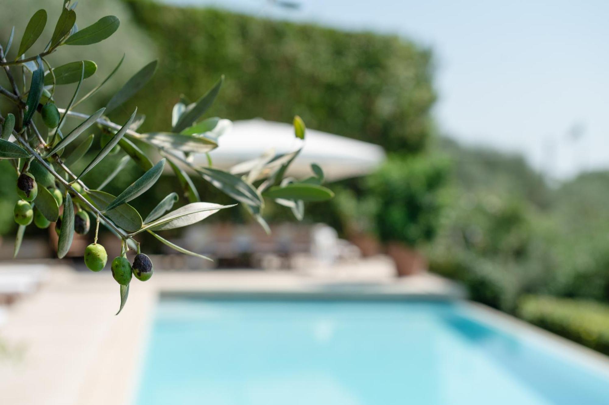 Villa Eden Forte Dei Marmi With Private Infinity Pool Santa Lucia  Esterno foto
